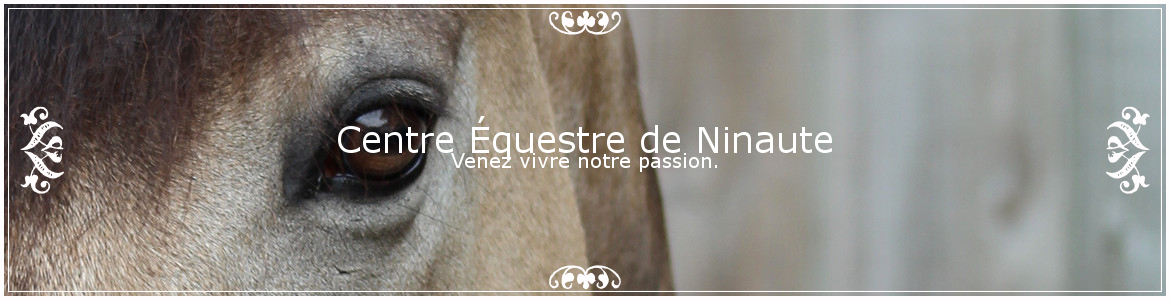 Centre Équestre de Ninaute